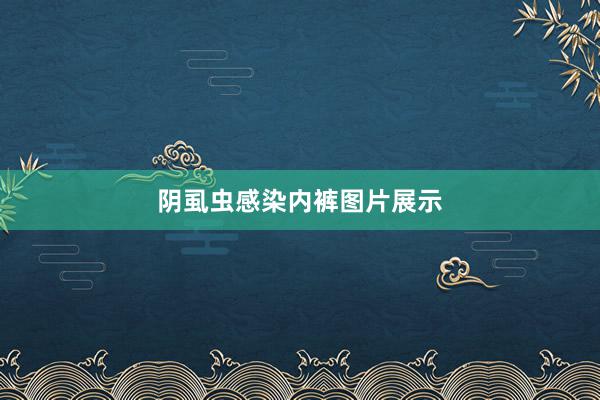 阴虱虫感染内裤图片展示