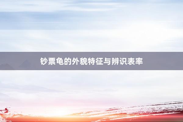 钞票龟的外貌特征与辨识表率