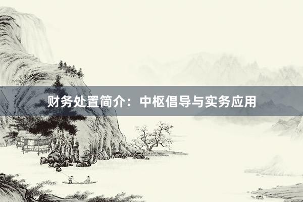 财务处置简介：中枢倡导与实务应用